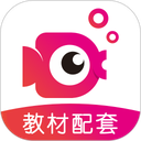 鲤鱼辅导v7.9.6
