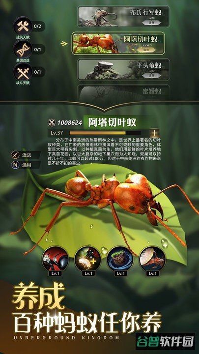 小小蚁国
