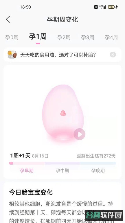 妈妈网孕育备孕网截图3