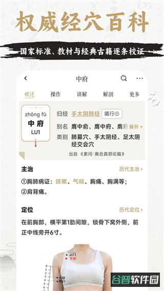 知源经络穴位