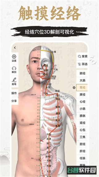 知源经络穴位截图3