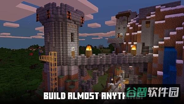 minecraft截图5