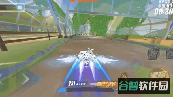 配图