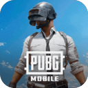 pubg国际服安卓版官方下载-pubg国际服手机版 v4.6.0 最新版