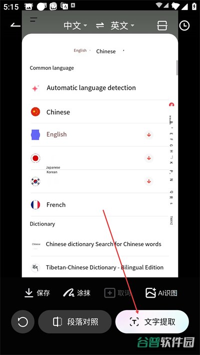 配图