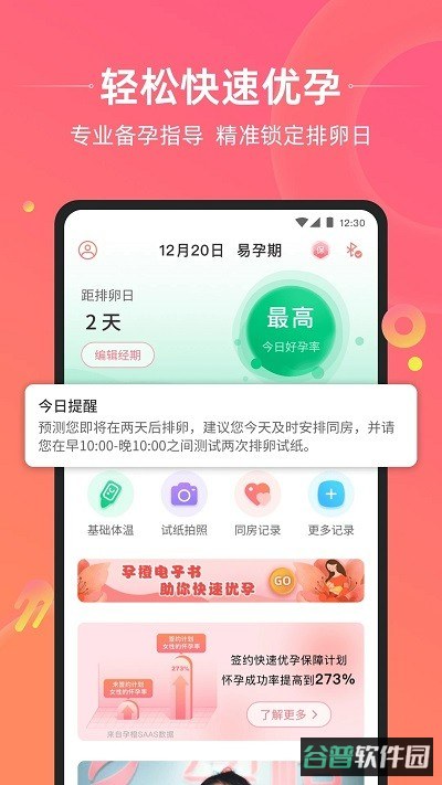孕橙