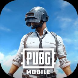 绝地求生轻量版v0.27.0