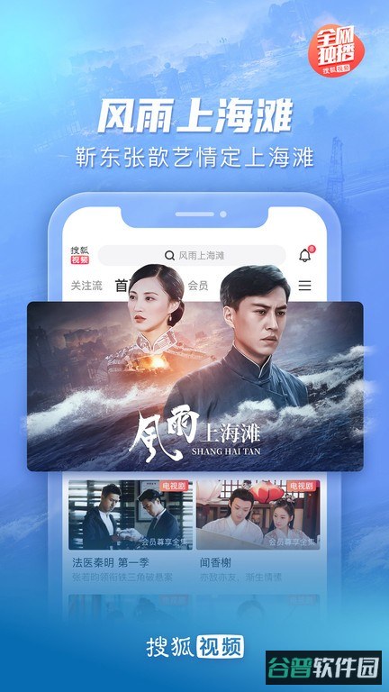 搜狐视频播放器