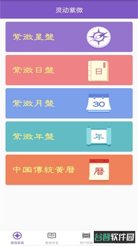 灵动紫微斗数算命软件截图3