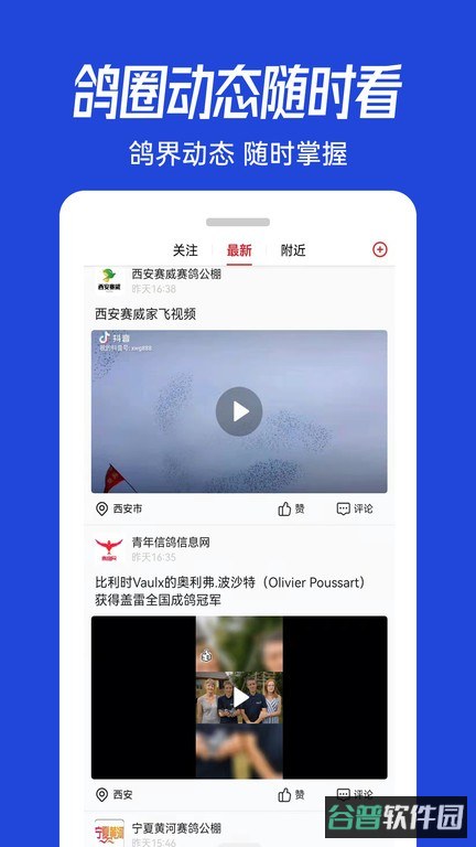青鸽网官方版(青年信鸽信息网)截图2