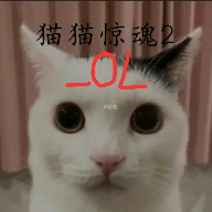 猫猫惊魂2_OLv1.0