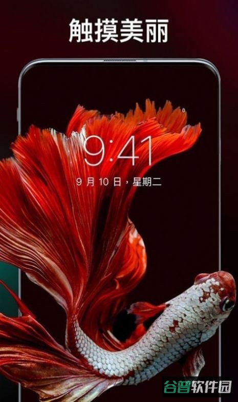 灵猫主题壁纸截图2