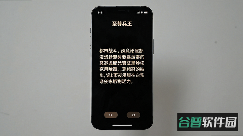 配图