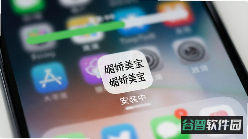 配图
