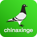 中国信鸽信息网