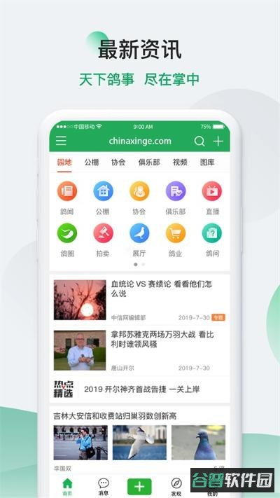中国信鸽信息网
