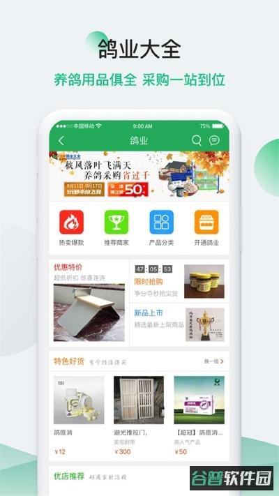 中国信鸽信息网截图2