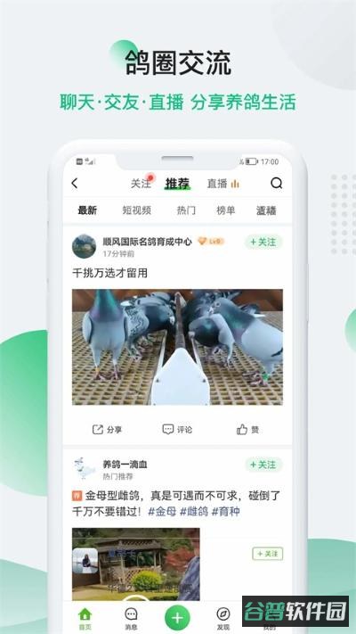 中国信鸽信息网截图3