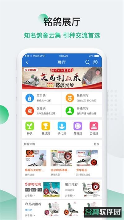 中国信鸽信息网截图4