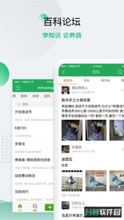 中国信鸽信息网截图5