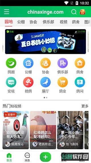 配图