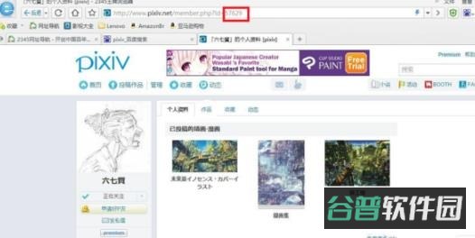 配图