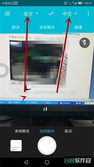 配图