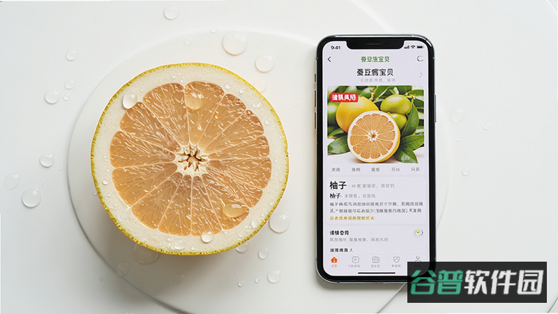 配图