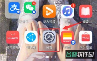 配图