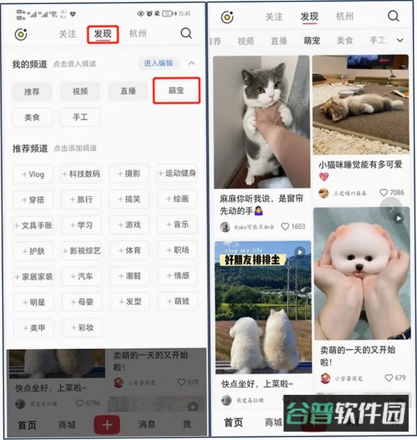 宠小吉截图5