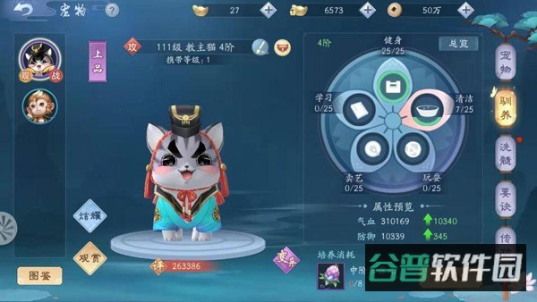 配图