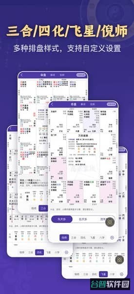 万宗紫微斗数排盘软件截图1