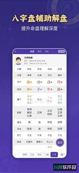 万宗紫微斗数排盘软件截图2