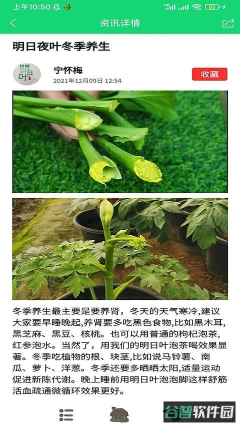 家庭桃源截图2