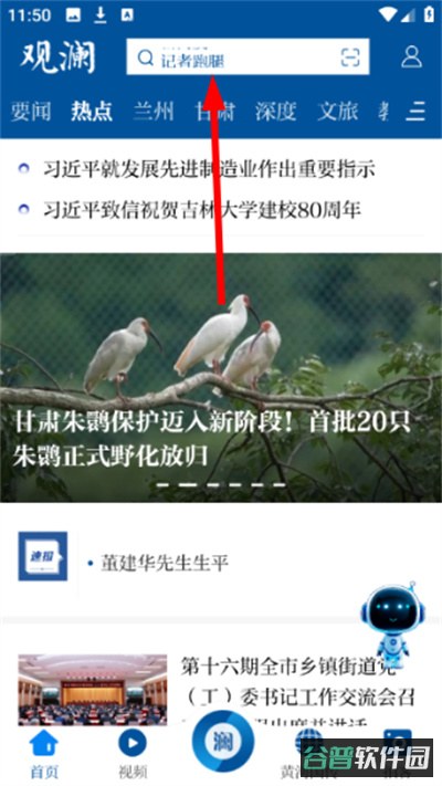 配图