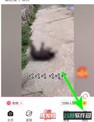 配图