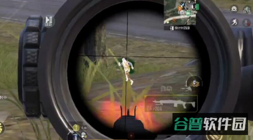 配图