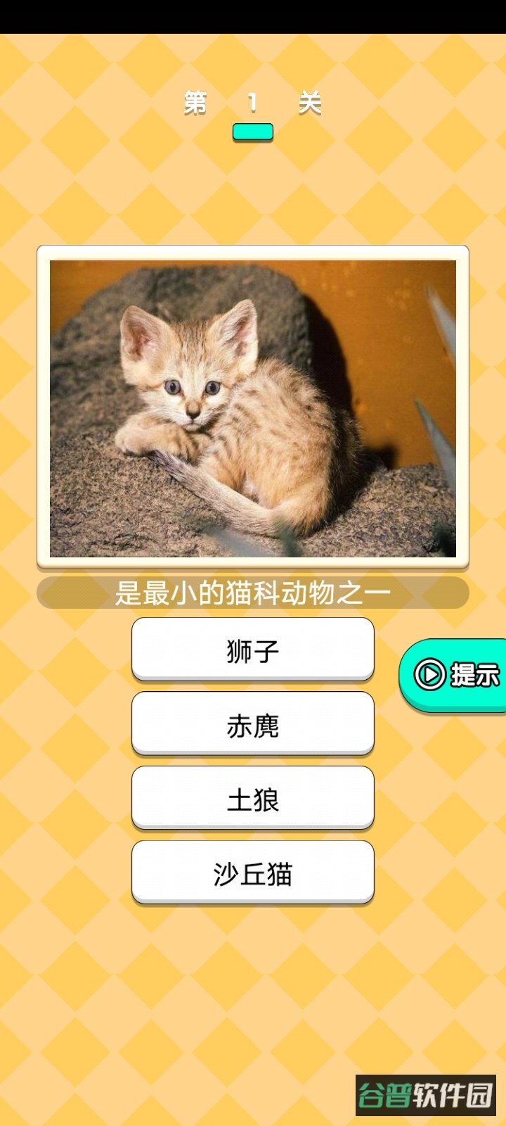 绿帽小哥哥截图1