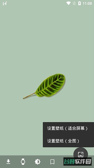 配图