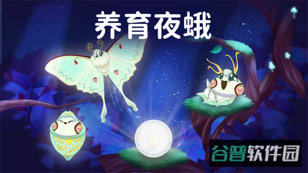 彩翼之星夜截图4