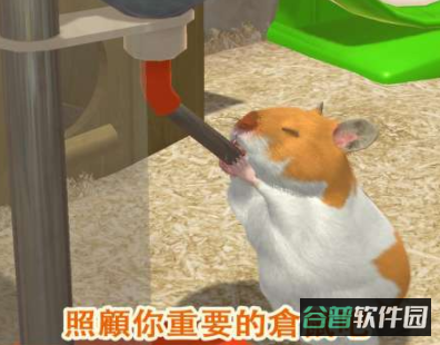 配图