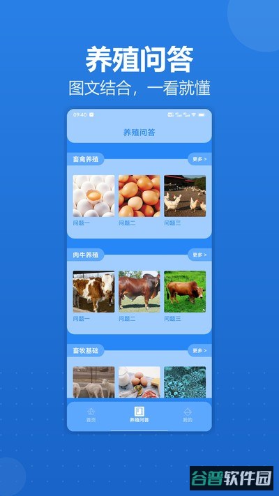 猪猪发大财截图3