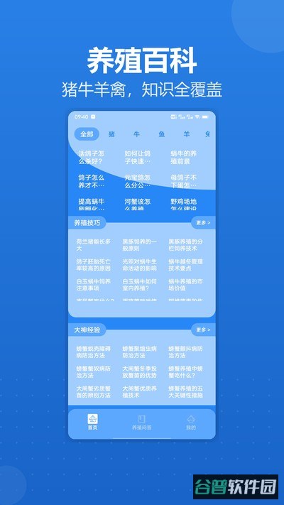 猪猪发大财截图4