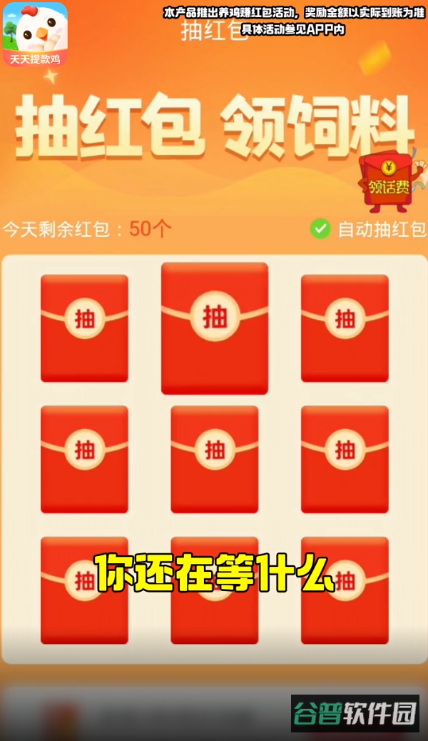 天天提款鸡截图5
