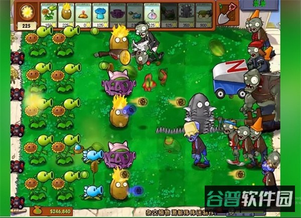 植物大战僵尸截图3