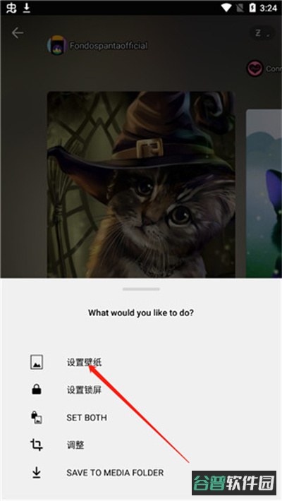 配图