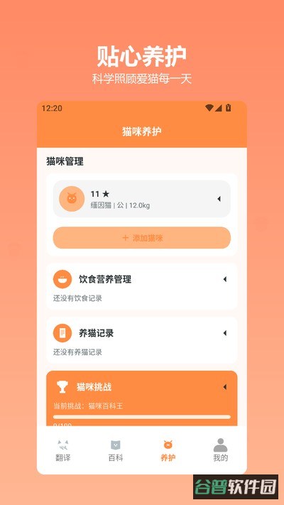快乐小猫