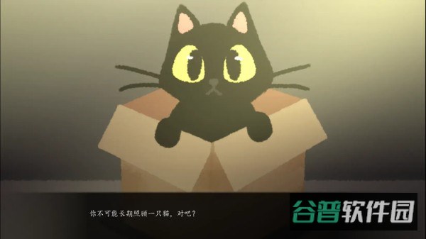 别带这只猫回家截图4