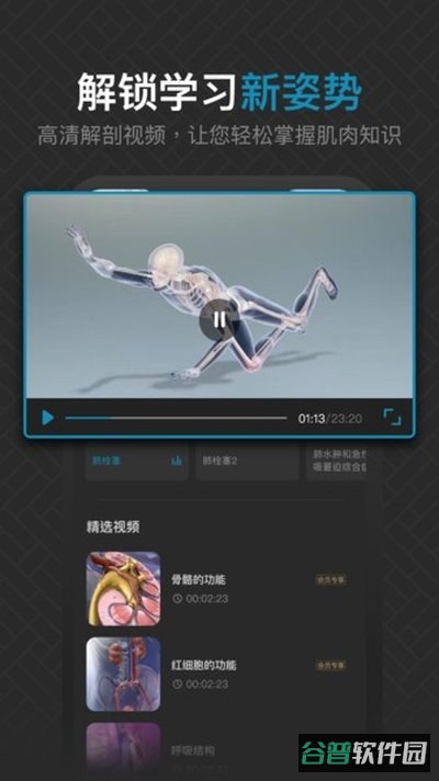 3D肌肉解剖截图3