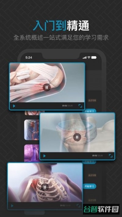 3D肌肉解剖截图4